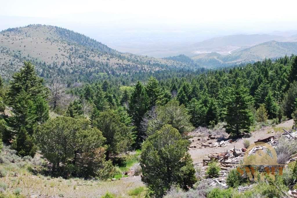 Indian Creek, Townsend, MT 59644