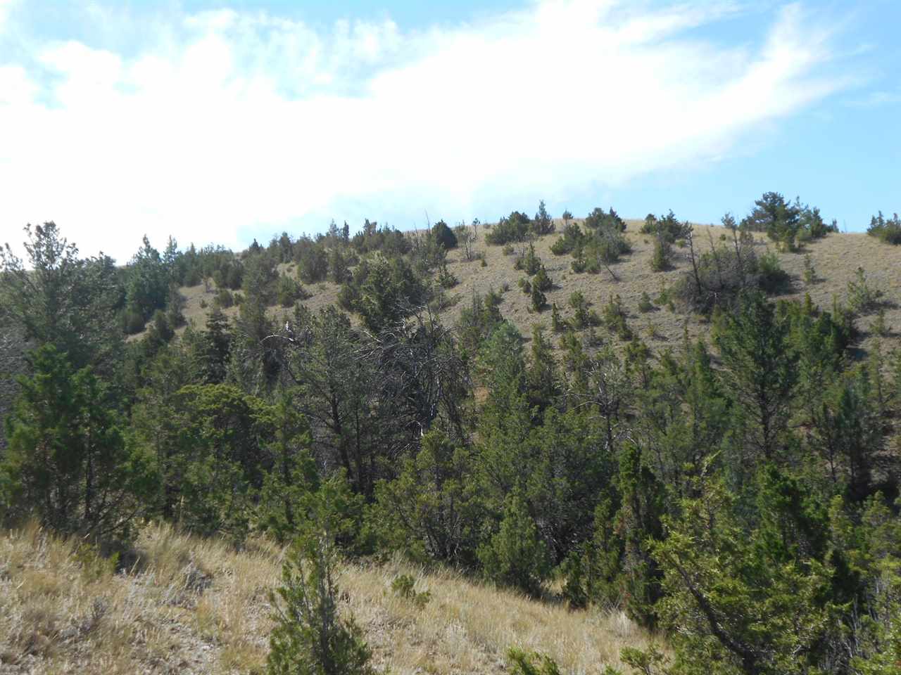TBD Silver Sage Road, Townsend, MT 59644
