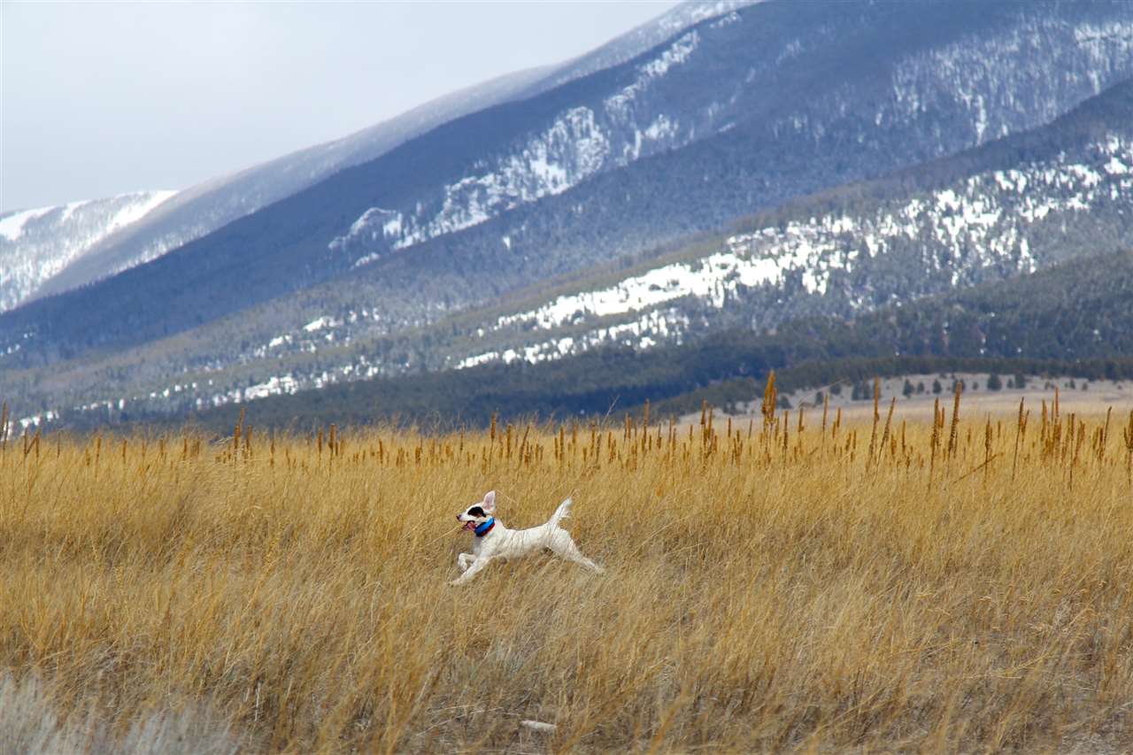 NHN Silver Sage Road, Townsend, MT 59644