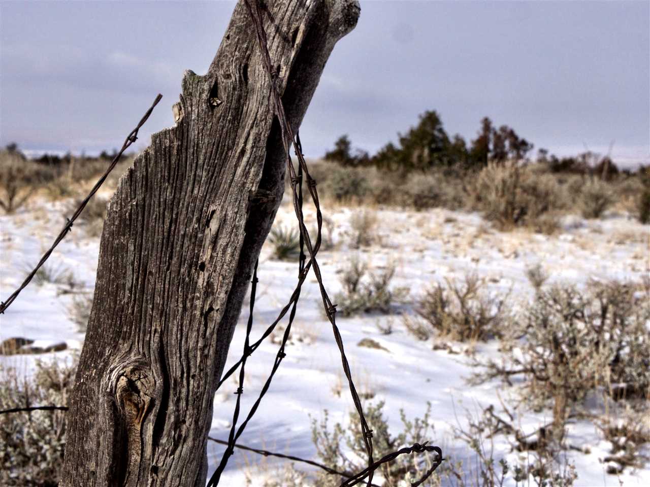 TBD Highway 12 East, Townsend, MT 59644