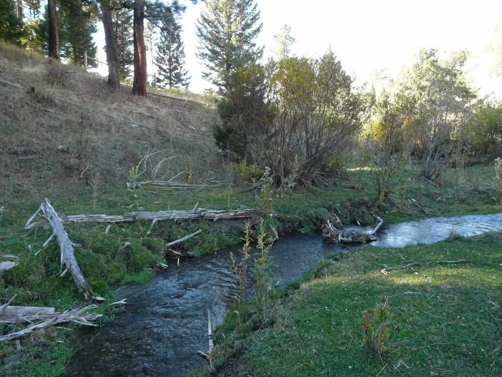 Greyson Creek 20, Townsend, MT 59644