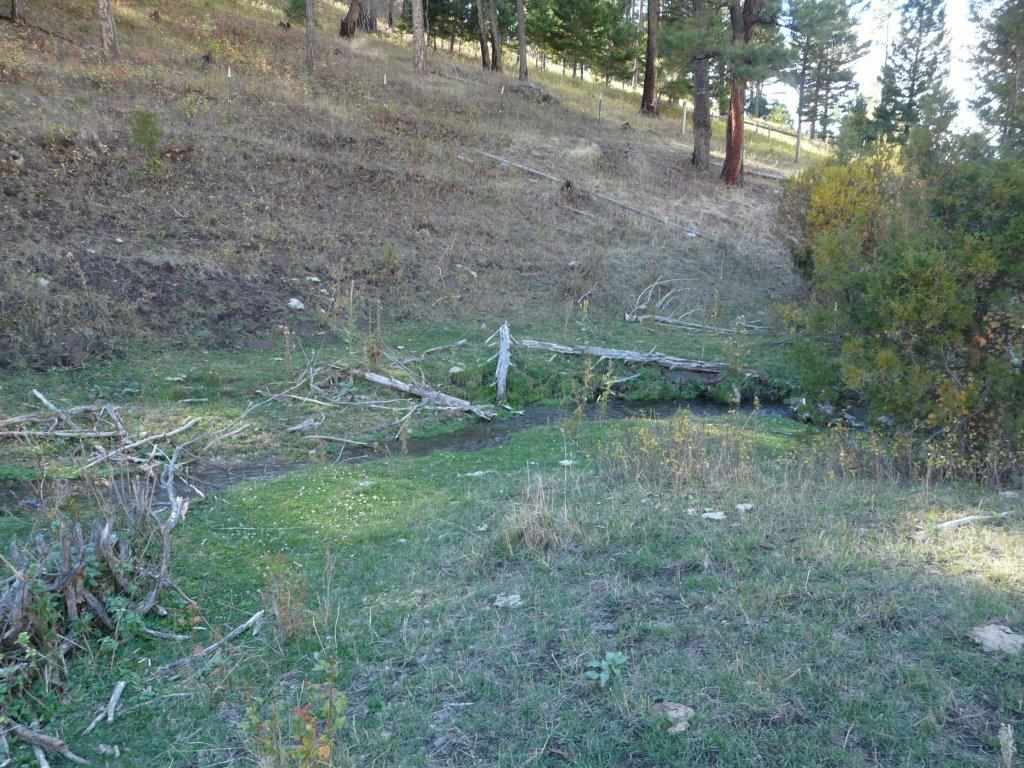 Greyson Creek 20, Townsend, MT 59644