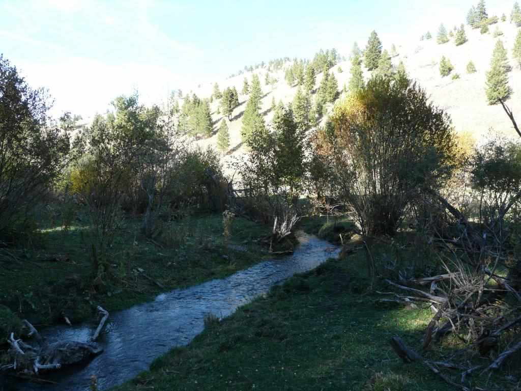 Greyson Creek 20, Townsend, MT 59644