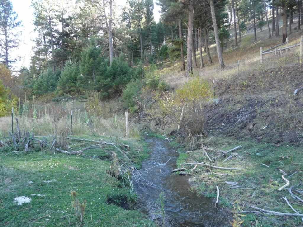 Greyson Creek 20, Townsend, MT 59644