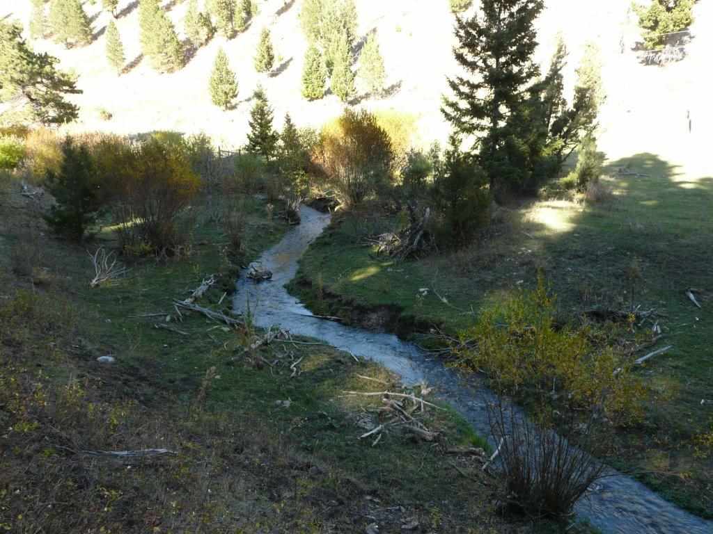 Greyson Creek 20, Townsend, MT 59644