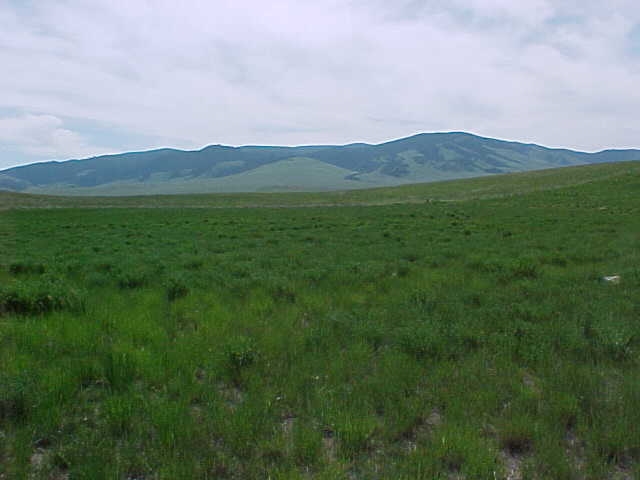 NHN SOUTH STREET, White Sulphur Springs, MT 59645