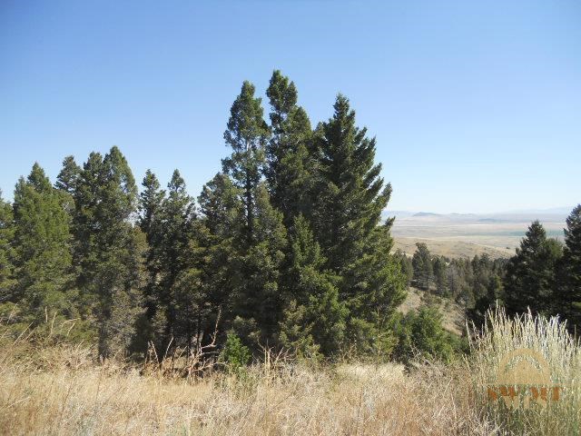 231 MOUNTAINVIEW, White Sulphur Springs, MT 59645