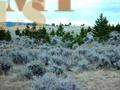 Lot 20 Black Butte Rd, White Sulphur Springs, MT 59645