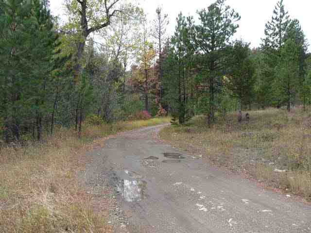 Lot 81 Little Wolf Creek Road, Wolf Creek, MT 59648