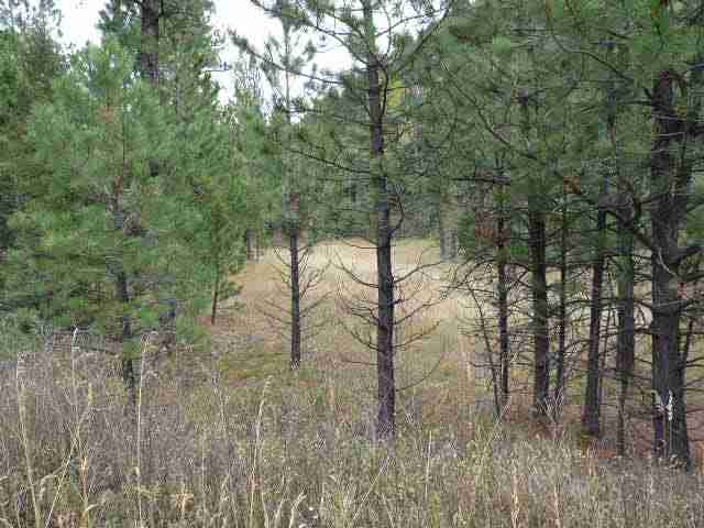 Lot 81 Little Wolf Creek Road, Wolf Creek, MT 59648