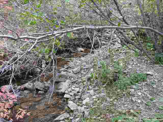 Lot 81 Little Wolf Creek Road, Wolf Creek, MT 59648