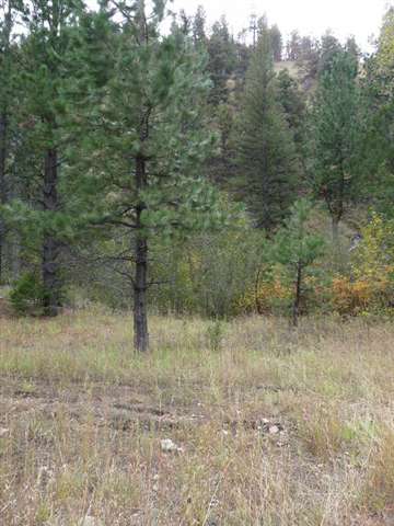 Lot 81 Little Wolf Creek Road, Wolf Creek, MT 59648