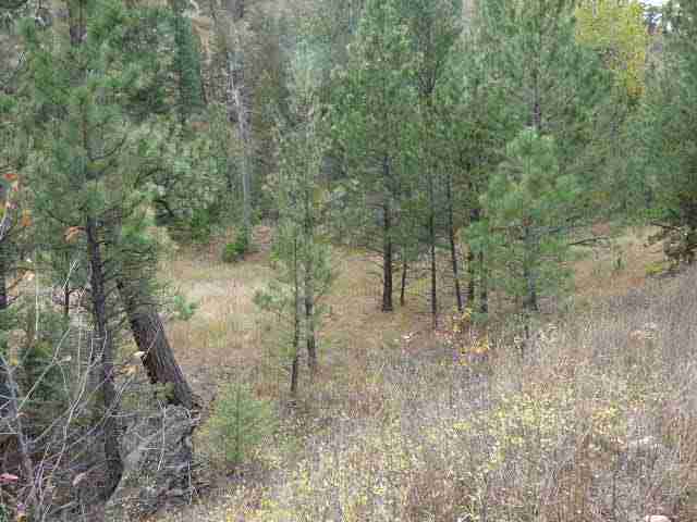 Lot 81 Little Wolf Creek Road, Wolf Creek, MT 59648