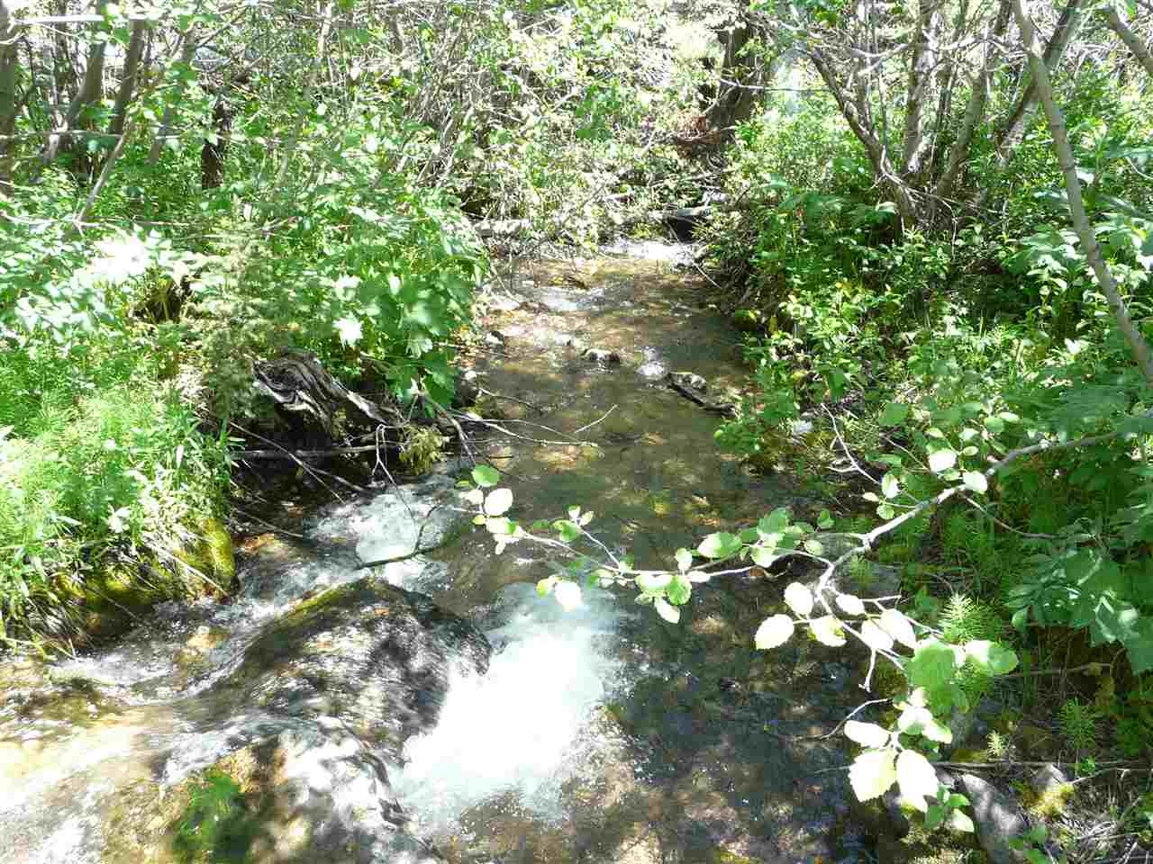 28 ELK MEADOW RD, Wolf Creek, MT 59648