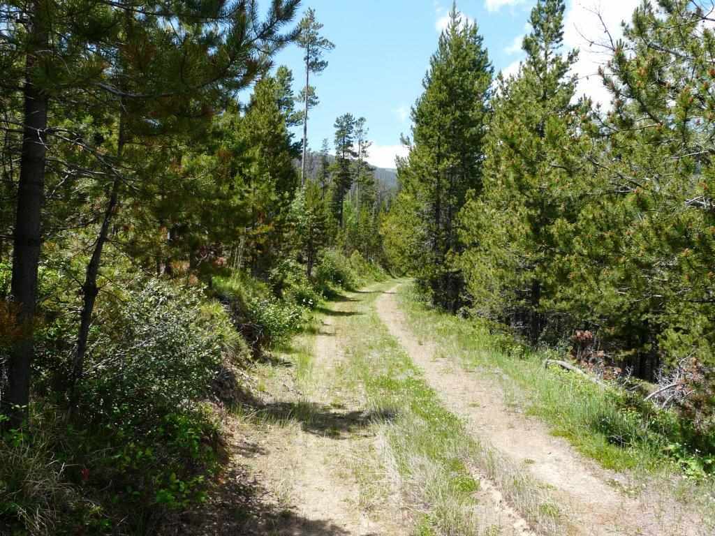 28 ELK MEADOW RD, Wolf Creek, MT 59648