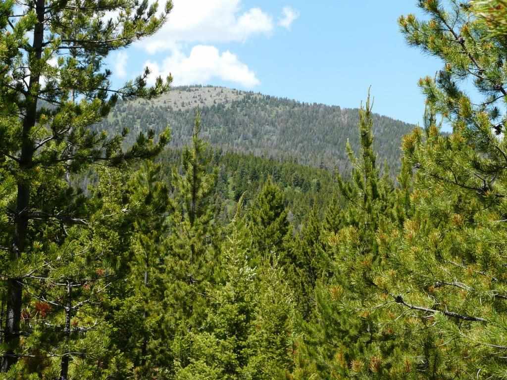 28 ELK MEADOW RD, Wolf Creek, MT 59648
