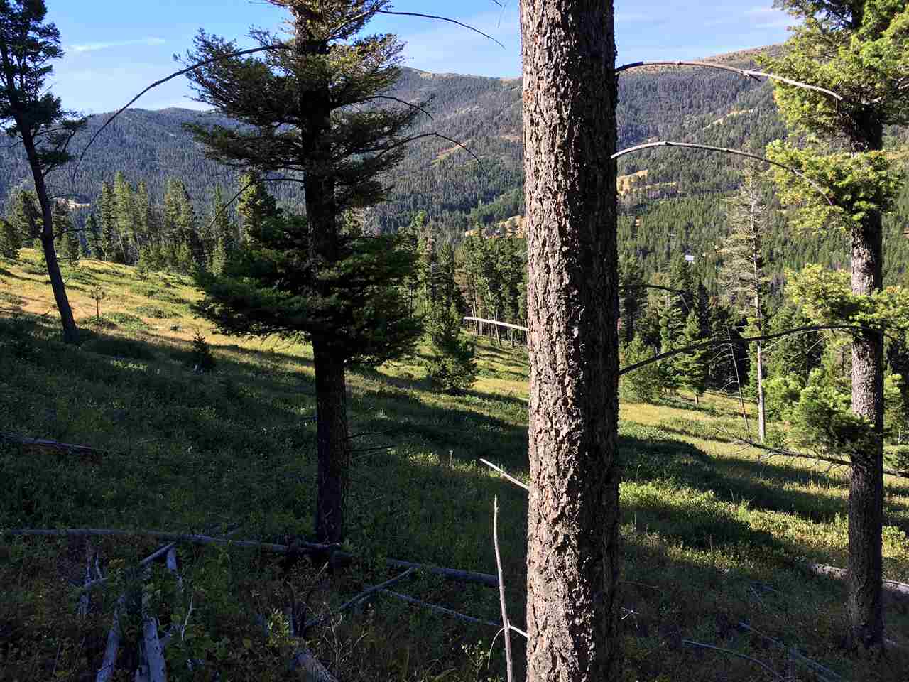 6581 Sisters road, Wolf Creek, MT 59648