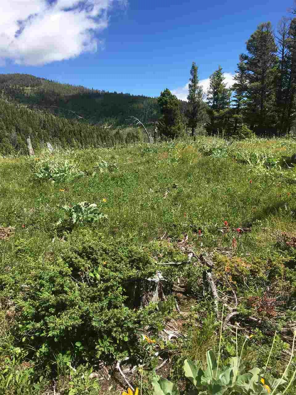 6581 Sisters road, Wolf Creek, MT 59648