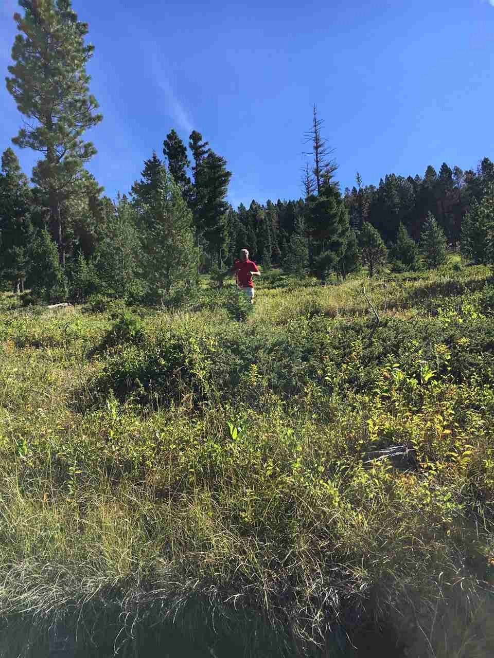 6581 Sisters road, Wolf Creek, MT 59648