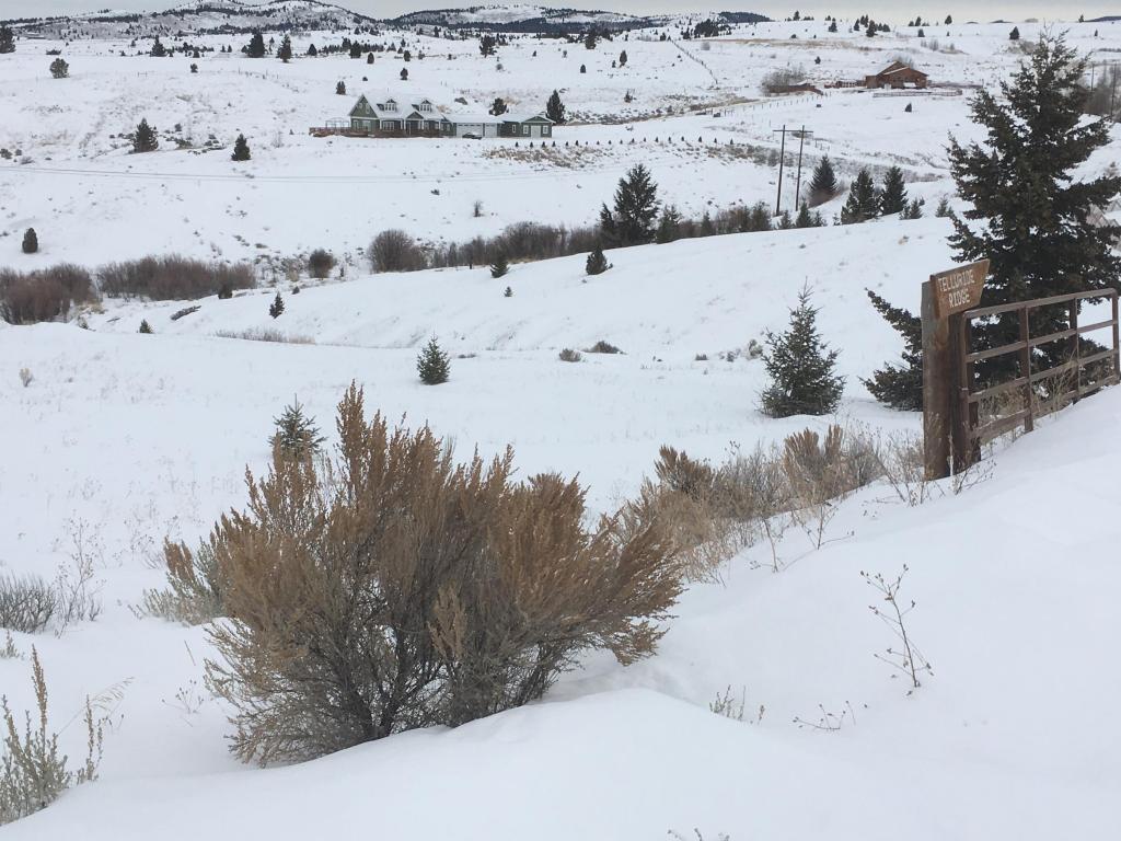 Telluride Ridge, Butte, MT 59701