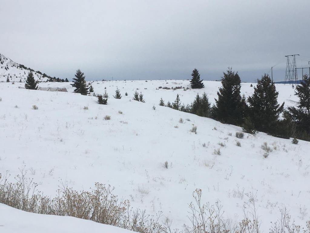 Telluride Ridge, Butte, MT 59701