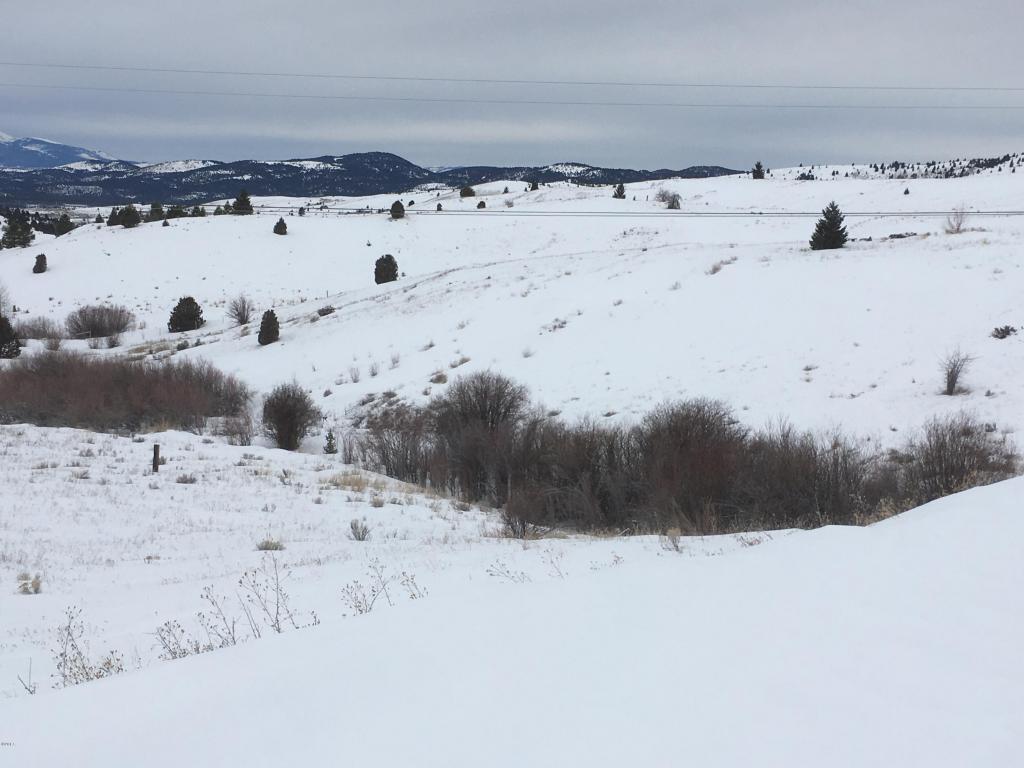 Telluride Ridge, Butte, MT 59701