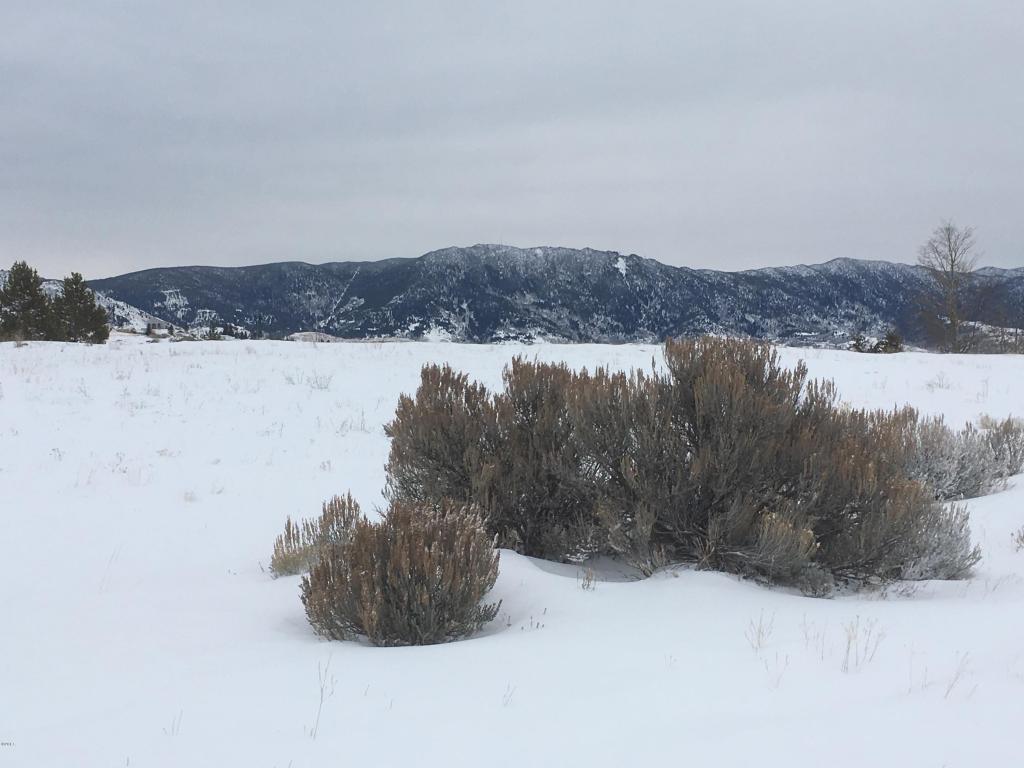 Rs4 Oro Fino Gulch Road Road, Butte, MT 59701