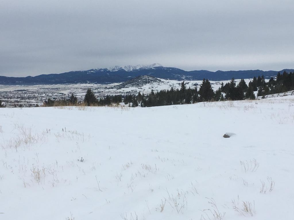 Rs4 Oro Fino Gulch Road Road, Butte, MT 59701