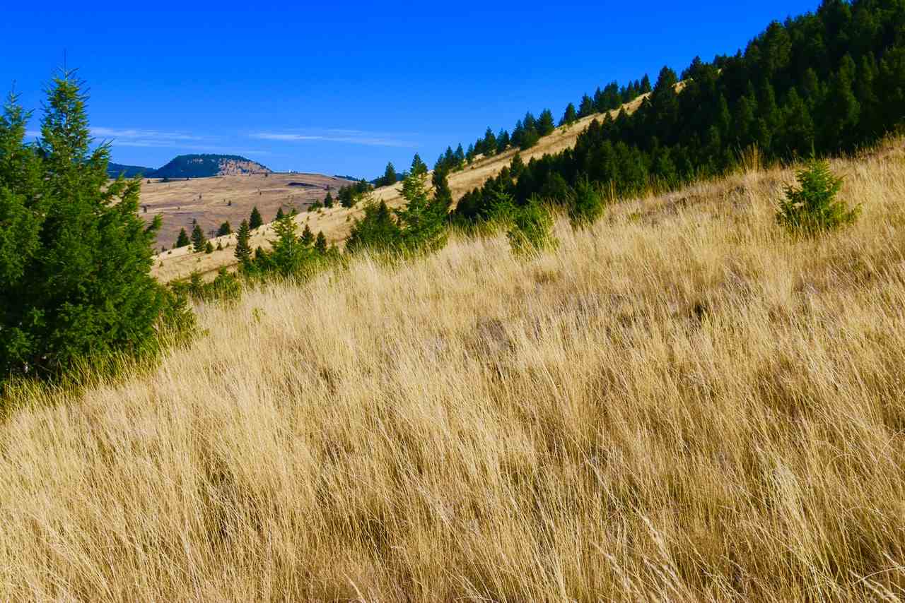 Lot 89/92 Gregson Ln, Butte, MT 59701