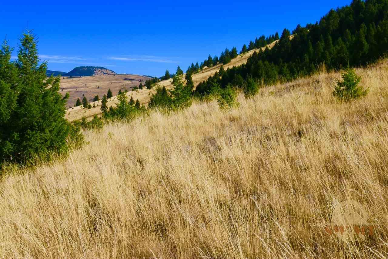 Lot 89/92 Gregson, Butte, MT 59701