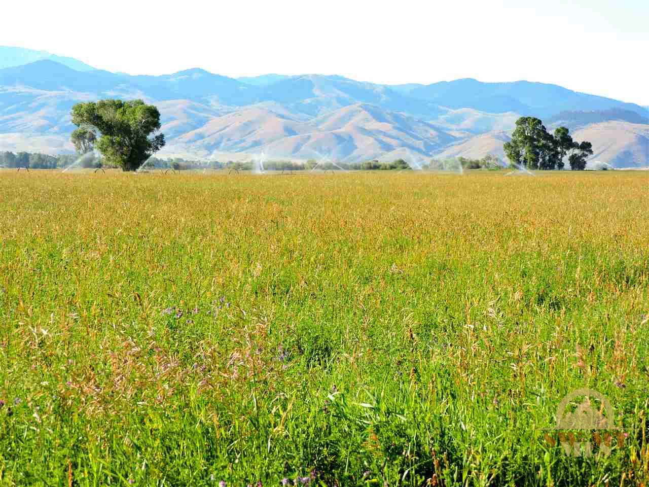 Lot 2 Tex's, Alder, MT 59710