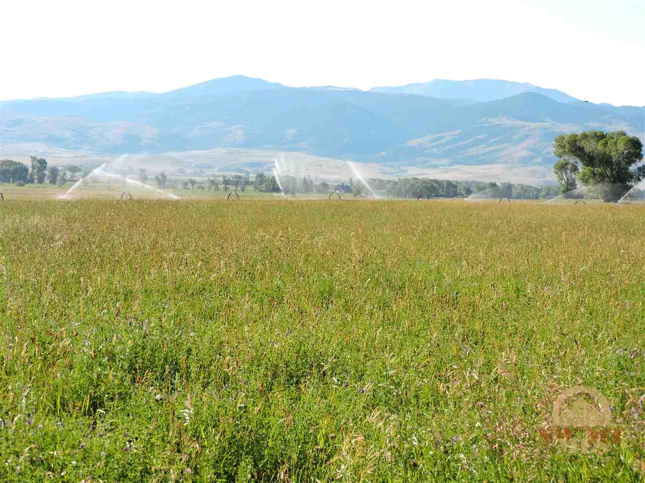 Lot 2 Tex's, Alder, MT 59710