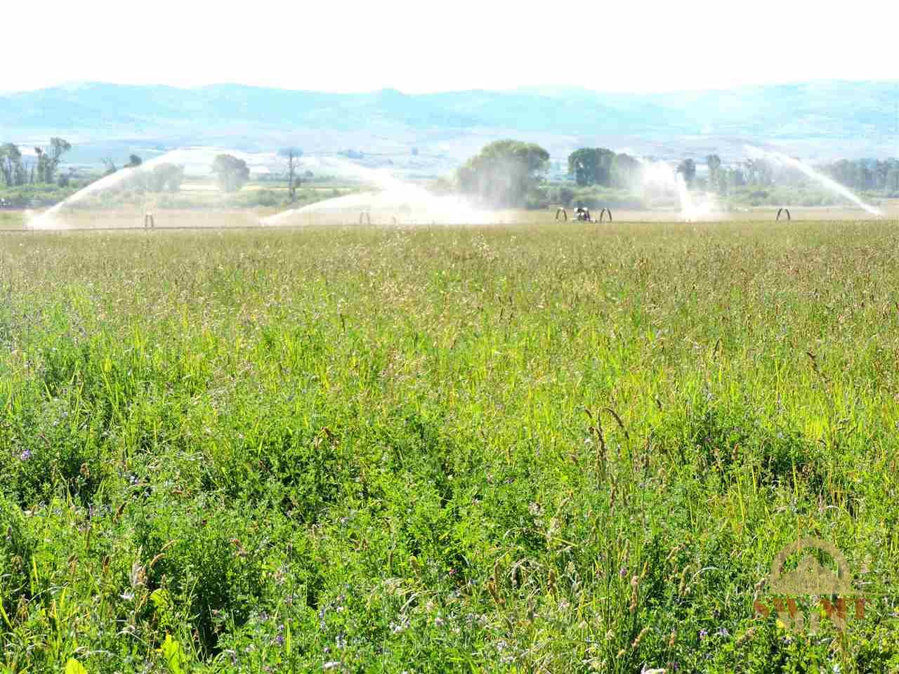 Lot 2 Tex's, Alder, MT 59710