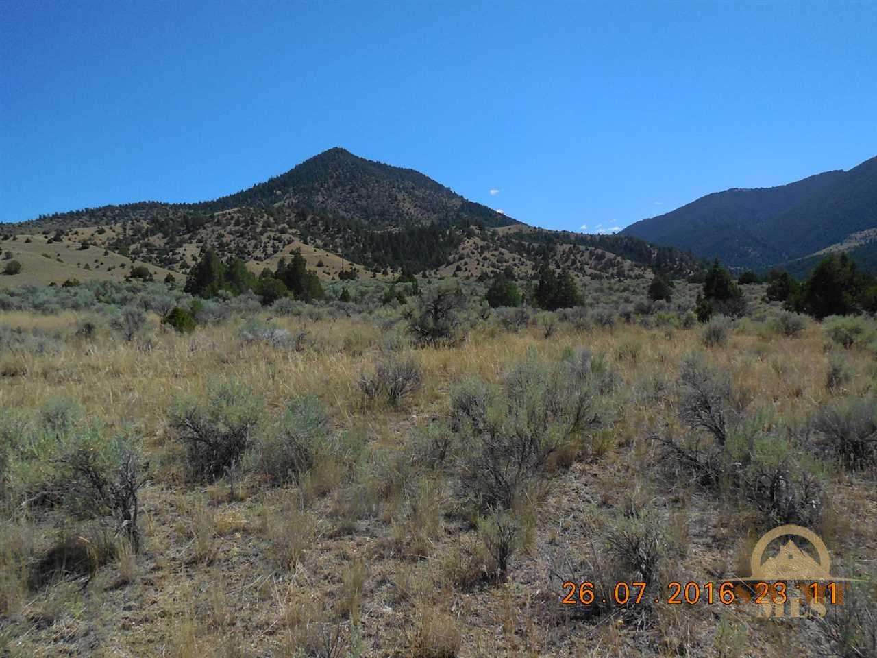 TBD Lot 1 Leafgreen Minor Subd., Alder, MT 59710