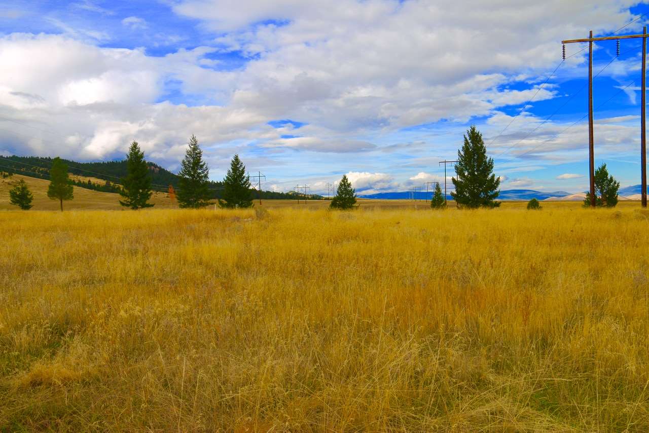 Lot 46 Shirley Way, Anaconda, MT 59711