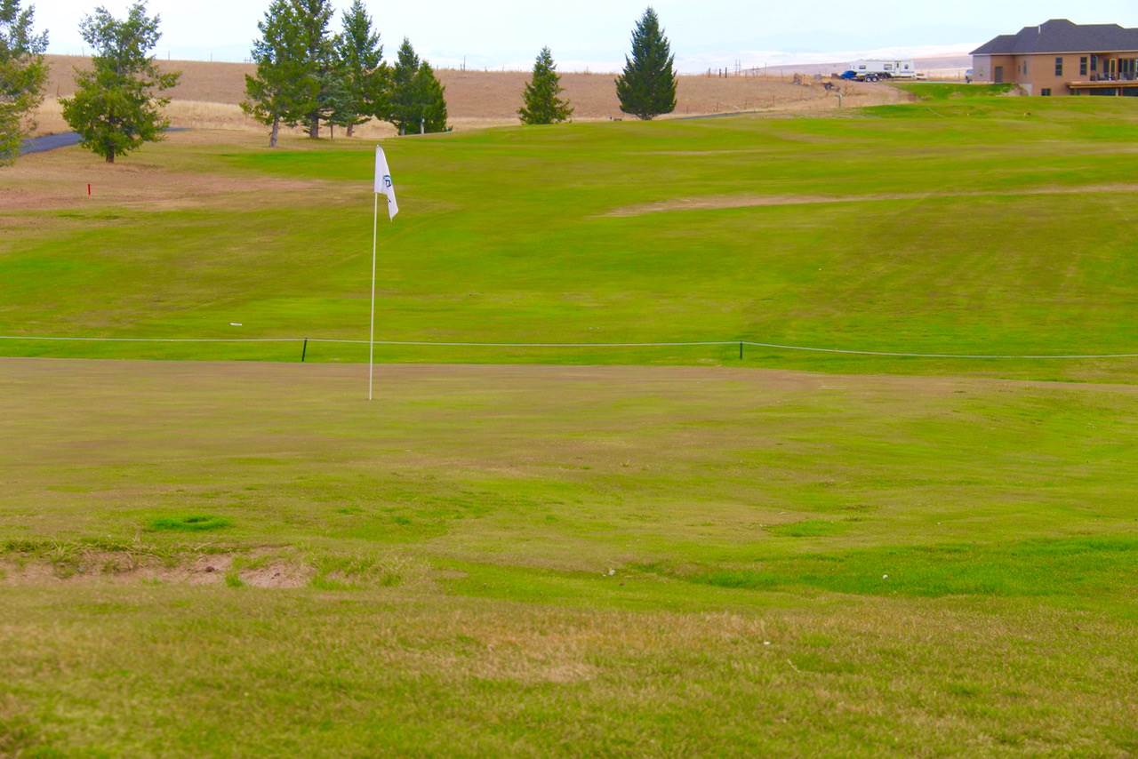 Lot 46 Shirley Way, Anaconda, MT 59711