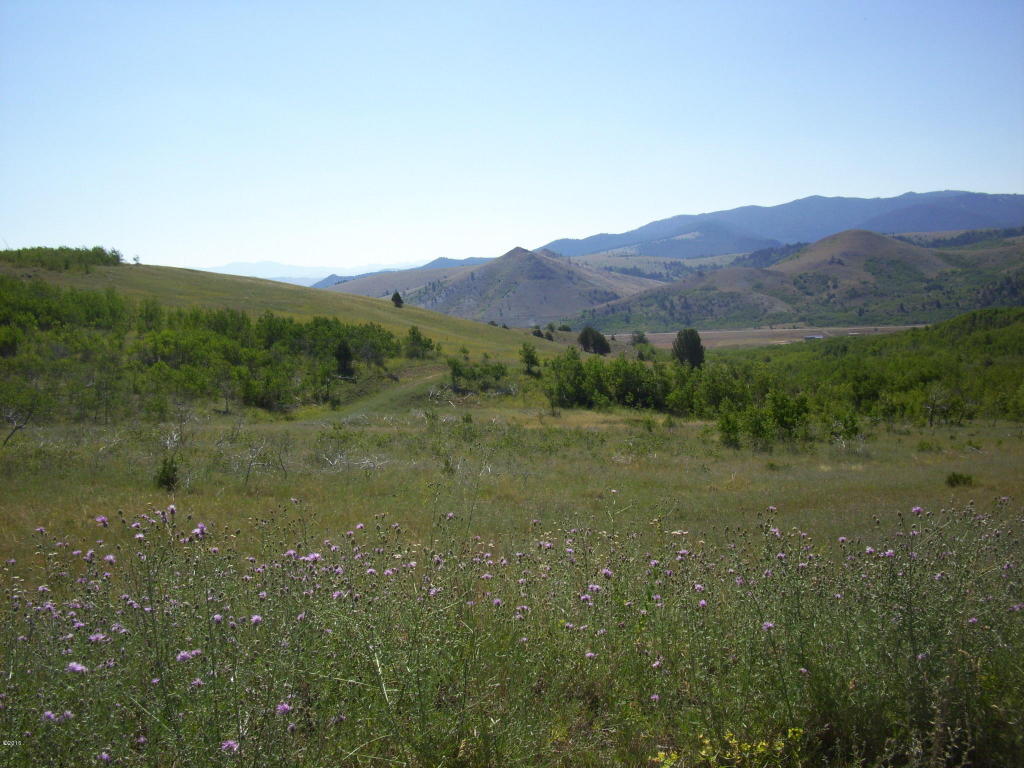 Lot 83 Aspen Hills, Anaconda, MT 59711