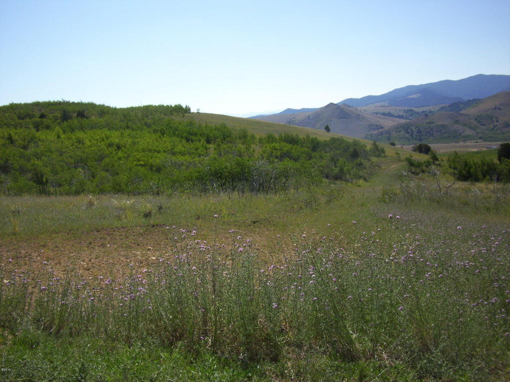 Lot 83 Aspen Hills, Anaconda, MT 59711