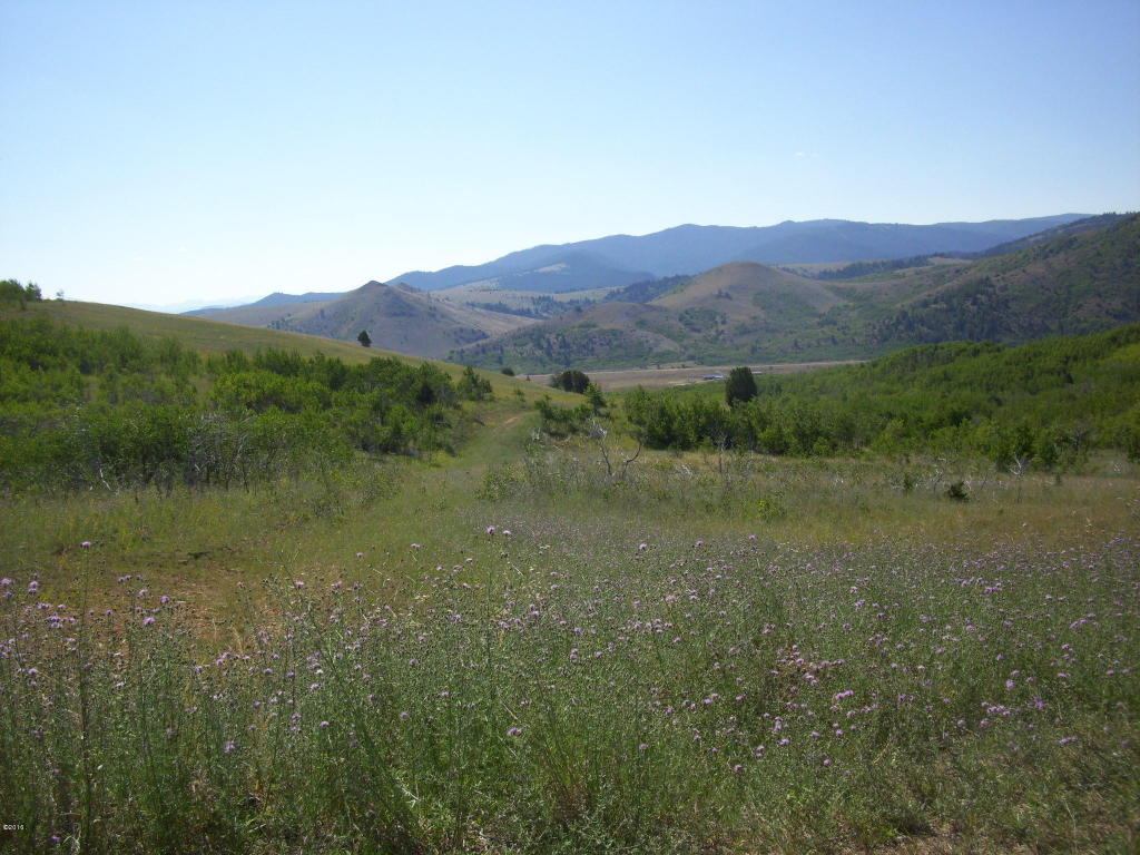 Lot 83 Aspen Hills, Anaconda, MT 59711