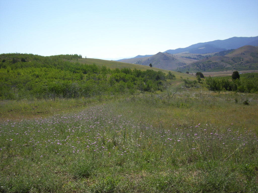 Lot 83 Aspen Hills, Anaconda, MT 59711