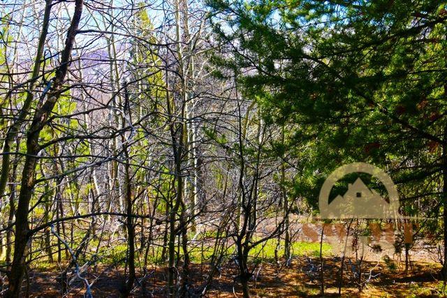 Lot 24A Clear Creek Subdivision, Anaconda, MT 59711