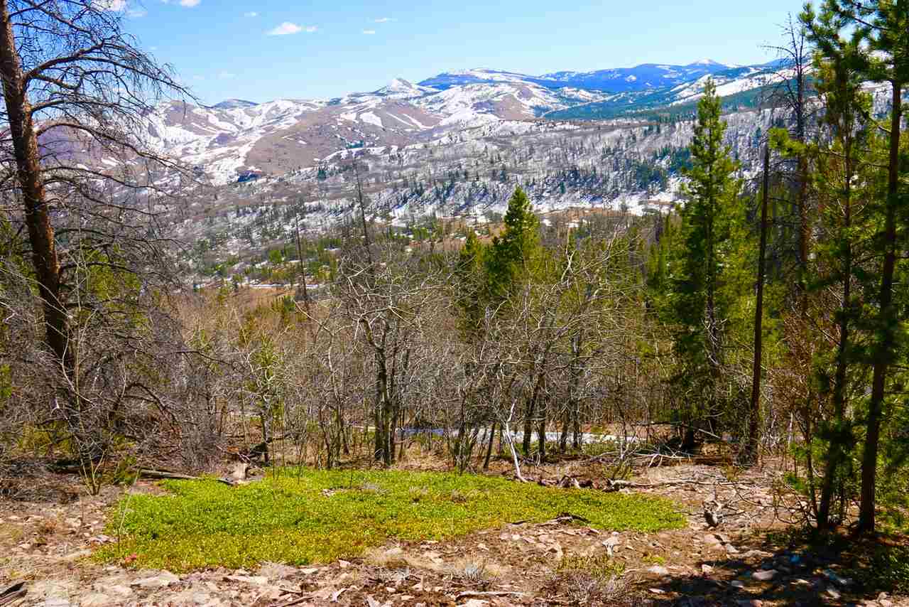 Lot 24A Clear Creek Subdivision, Anaconda, MT 59711
