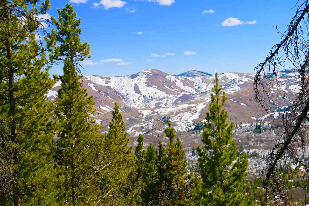 Lot 24A Clear Creek Subdivision, Anaconda, MT 59711
