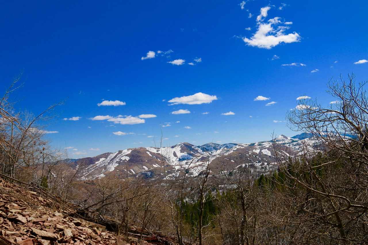 Lot 24A Clear Creek Subdivision, Anaconda, MT 59711