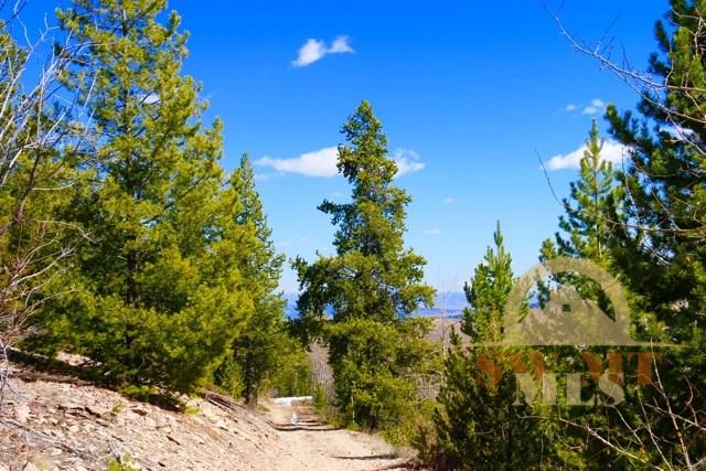 Lot 23A Clear Creek Subdivision, Anaconda, MT 59711