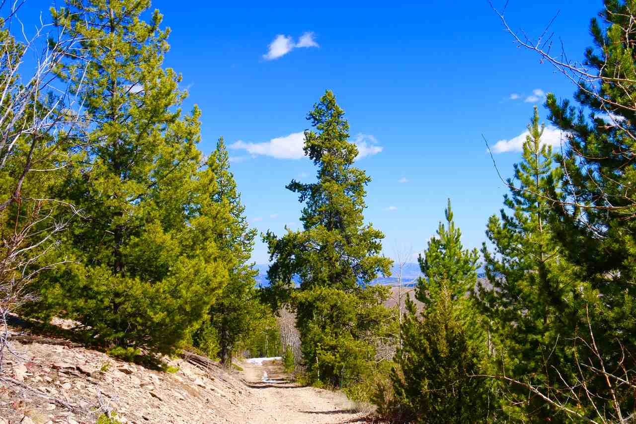 Lot 23A Clear Creek Subdivision, Anaconda, MT 59711