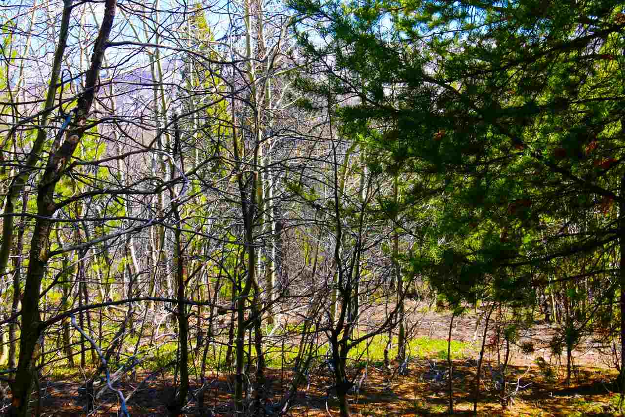 Lot 23A Clear Creek Subdivision, Anaconda, MT 59711