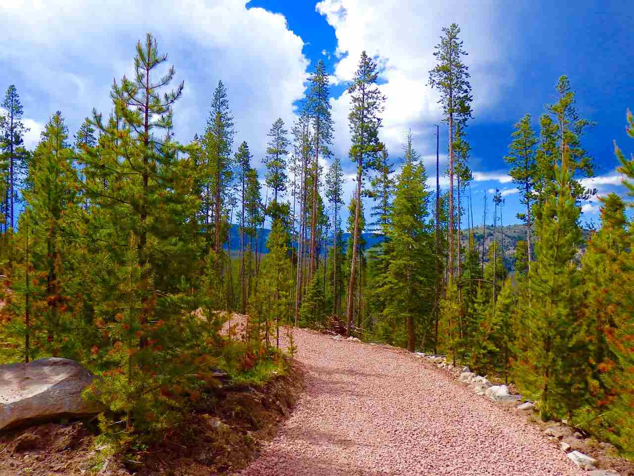 NHN Herring Flats Rd, Anaconda, MT 59711