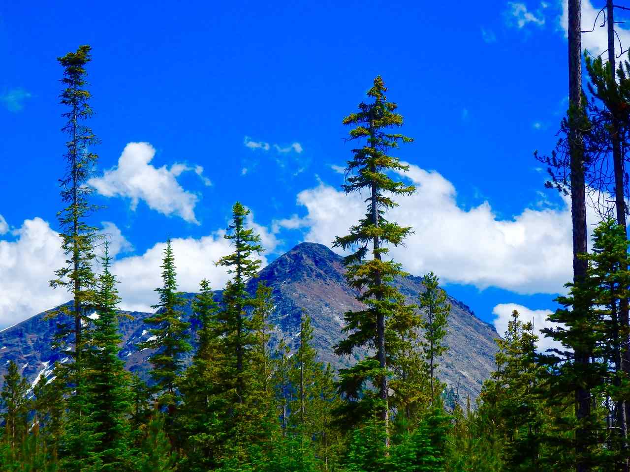 NHN Herring Flats Rd, Anaconda, MT 59711