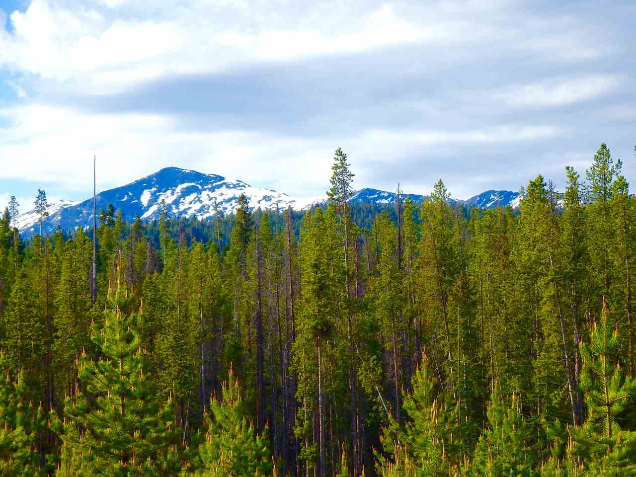 NHN Herring Flats Rd, Anaconda, MT 59711